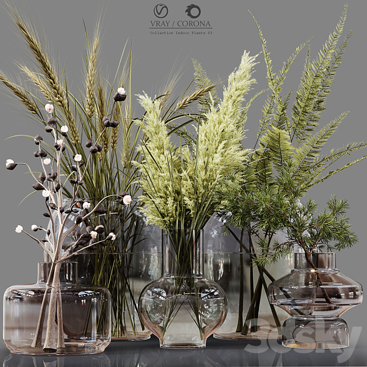 Collection Indoor Plants 03 3DS Max Model - thumbnail 1