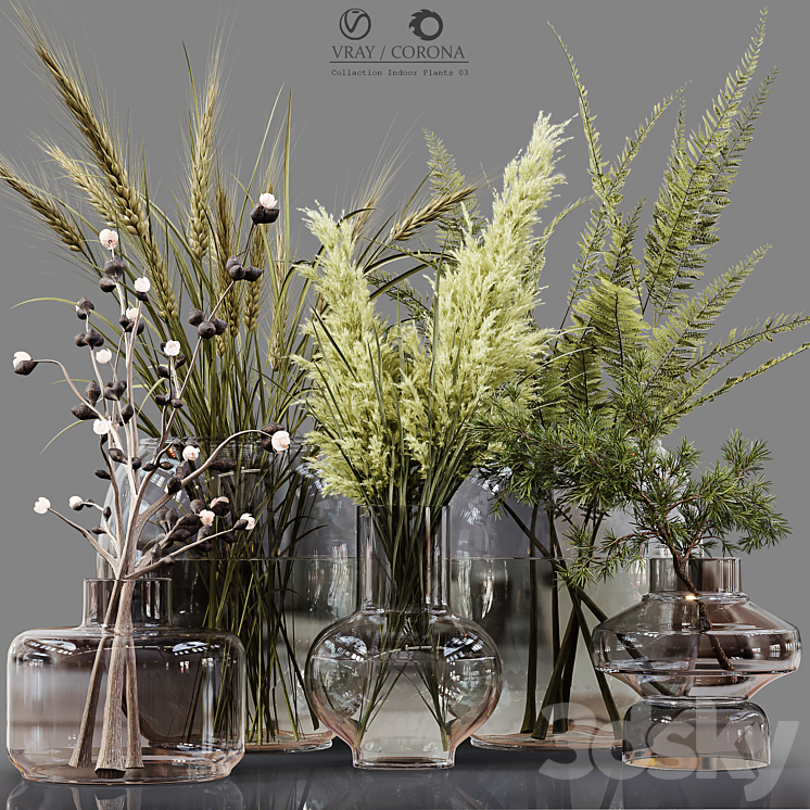 Collection Indoor Plants 03 3DS Max - thumbnail 1