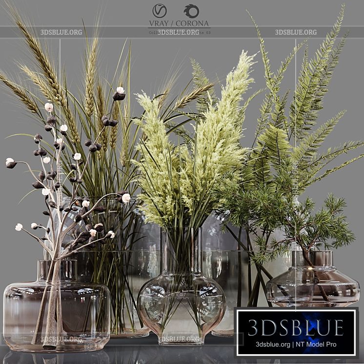 Collection Indoor Plants 03 3DS Max - thumbnail 3