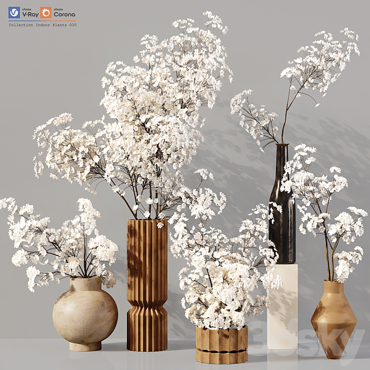 Collection Indoor Plants 030 3DS Max Model - thumbnail 1