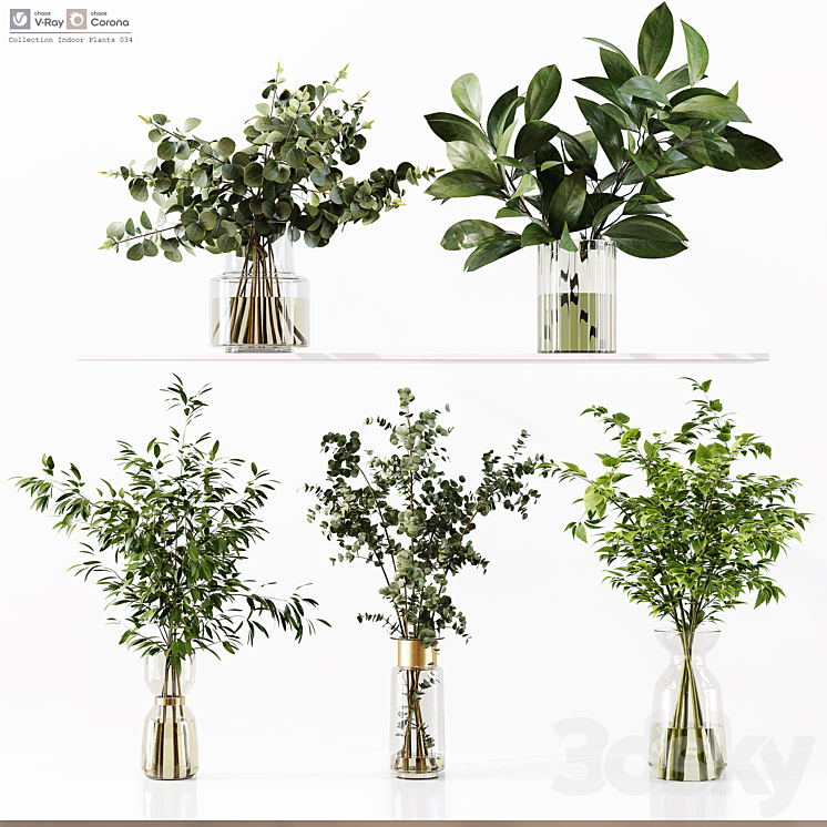 Collection Indoor Plants 034 3DS Max Model - thumbnail 1
