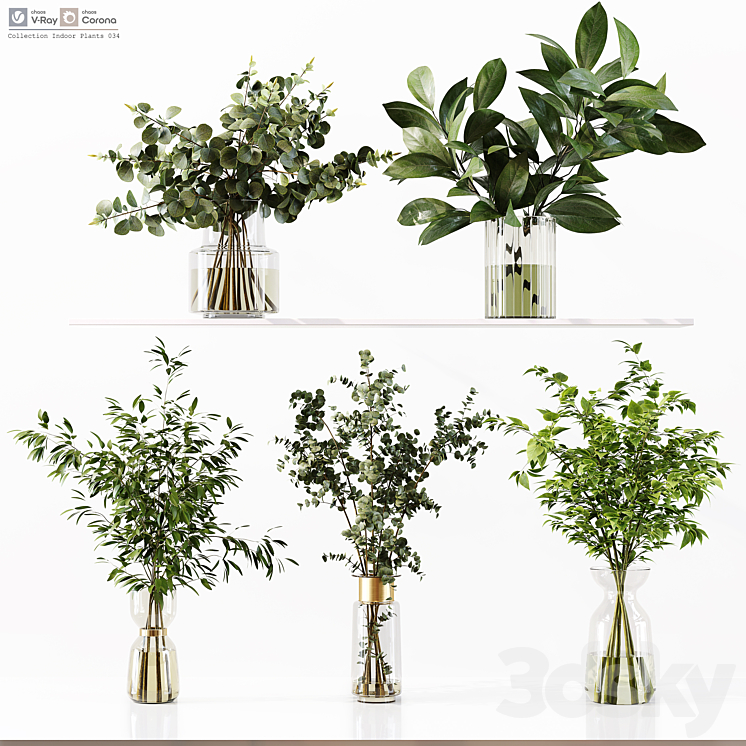 Collection Indoor Plants 034 3DS Max - thumbnail 1