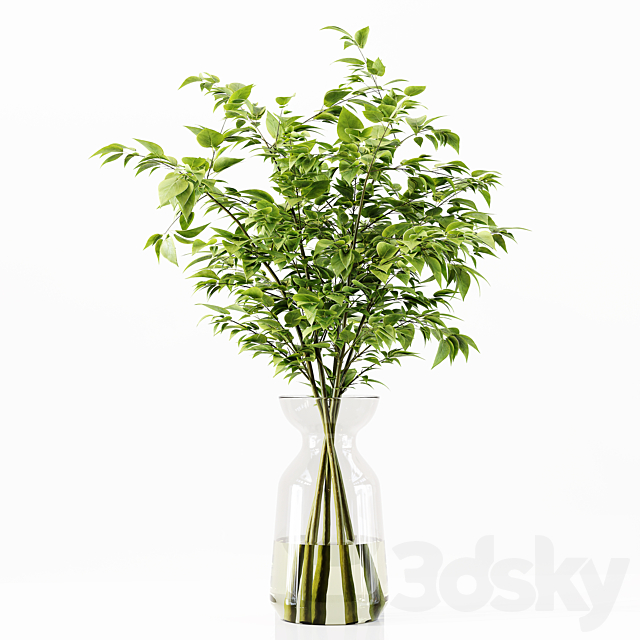 Collection Indoor Plants 034 3DS Max Model - thumbnail 2