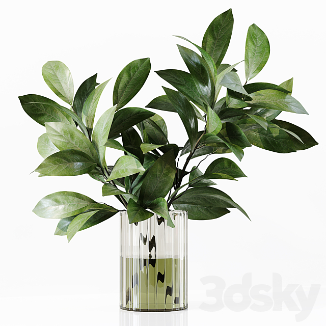 Collection Indoor Plants 034 3DS Max Model - thumbnail 6