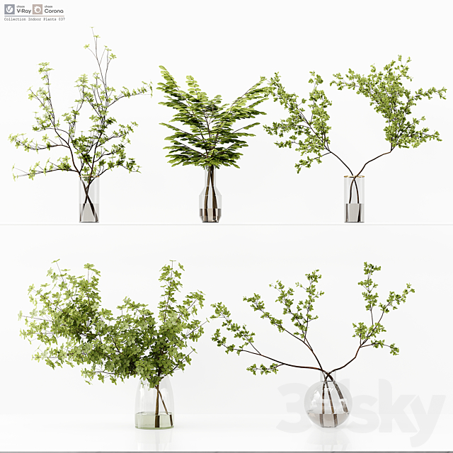 Collection Indoor Plants 037 3ds Max - thumbnail 1