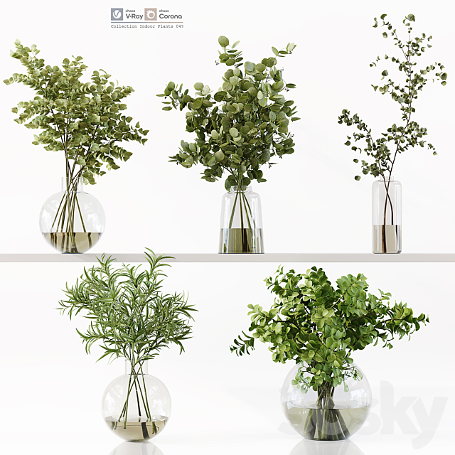 Collection Indoor Plants 049 3ds Max - thumbnail 1