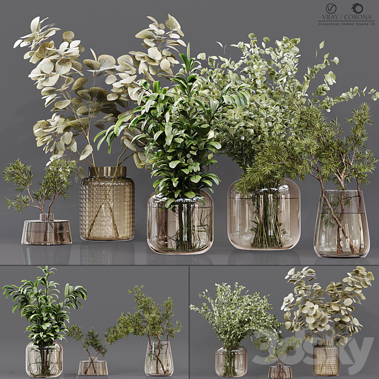 Collection Indoor Plants 05 3DS Max Model - thumbnail 1