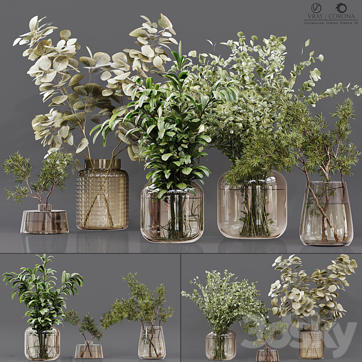 Collection Indoor Plants 05 3DS Max - thumbnail 1