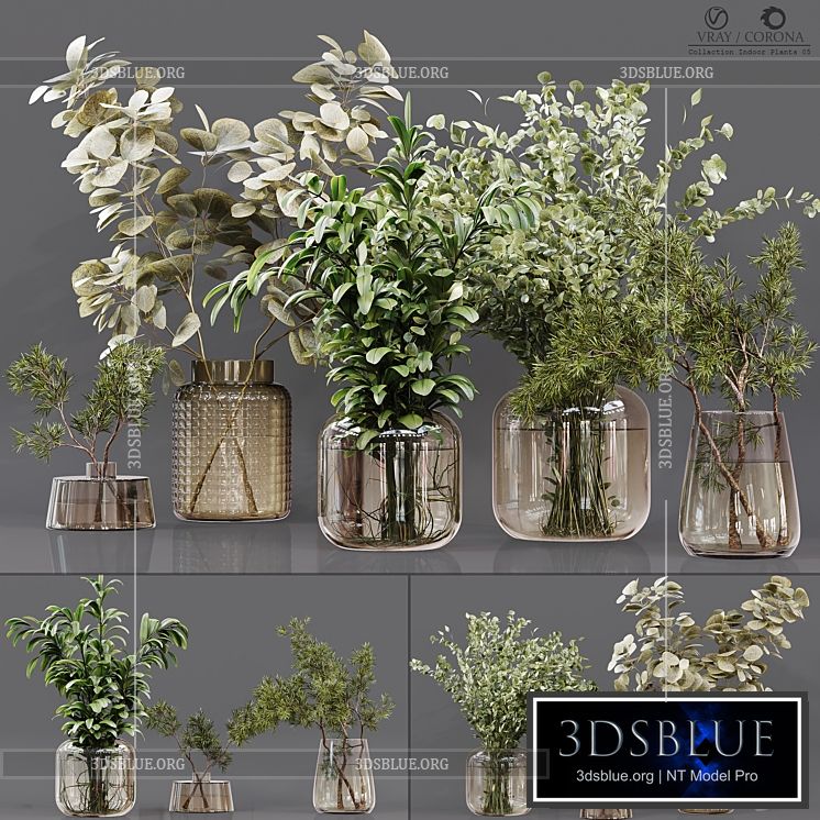 Collection Indoor Plants 05 3DS Max - thumbnail 3