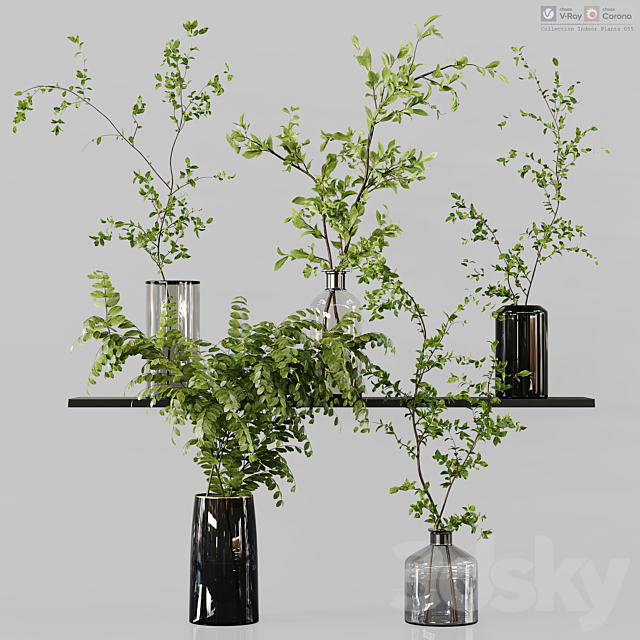 Collection Indoor Plants 055 3ds Max - thumbnail 1