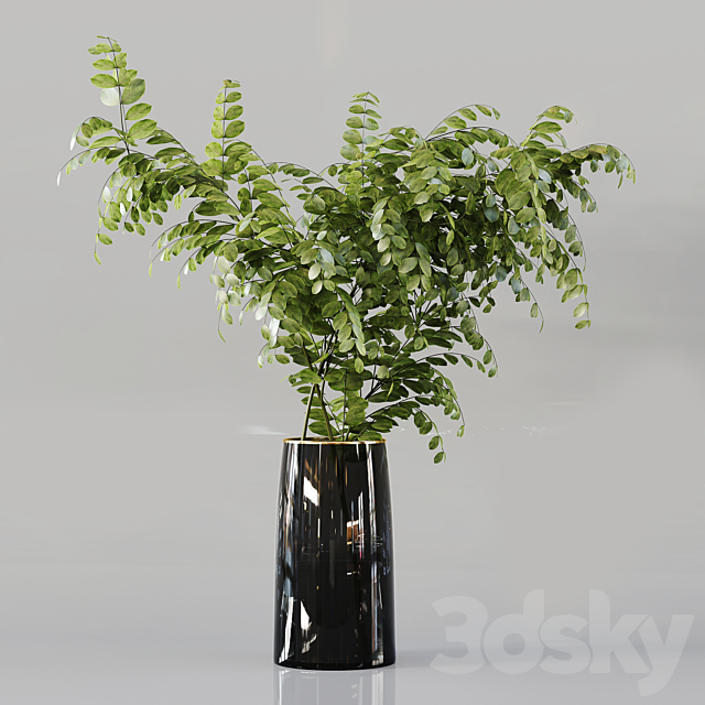 Collection Indoor Plants 055 3ds Max - thumbnail 2