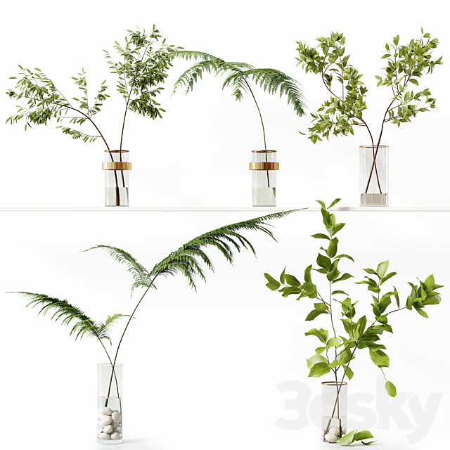 Collection Indoor Plants 058 3ds Max - thumbnail 1