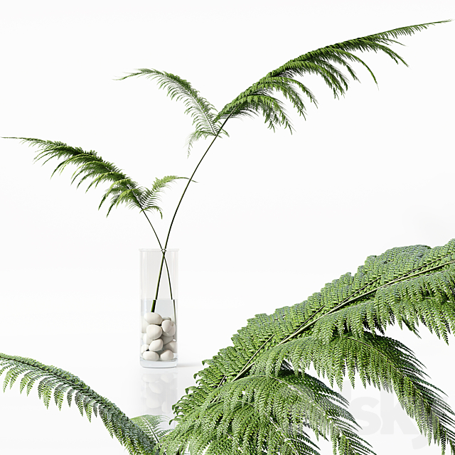 Collection Indoor Plants 058 3ds Max - thumbnail 2