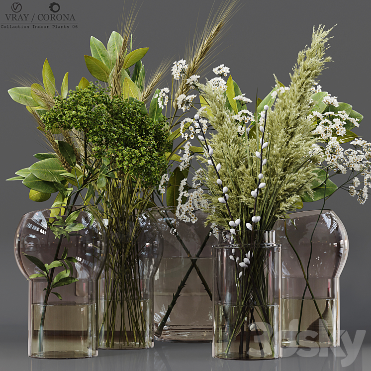 Collection Indoor Plants 06 3DS Max Model - thumbnail 1