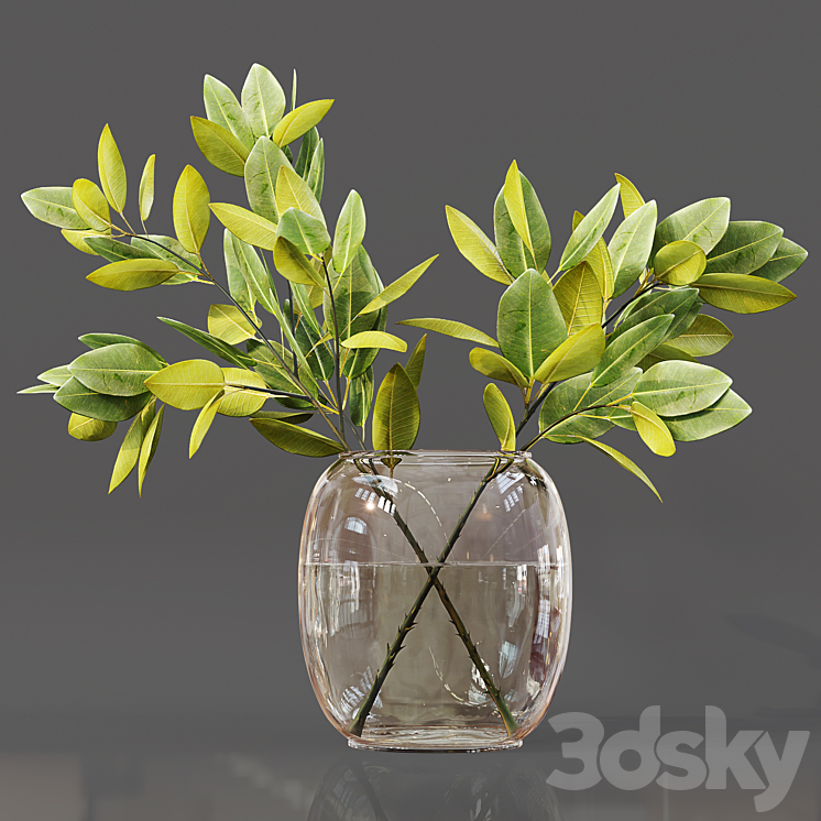 Collection Indoor Plants 06 3DS Max Model - thumbnail 2