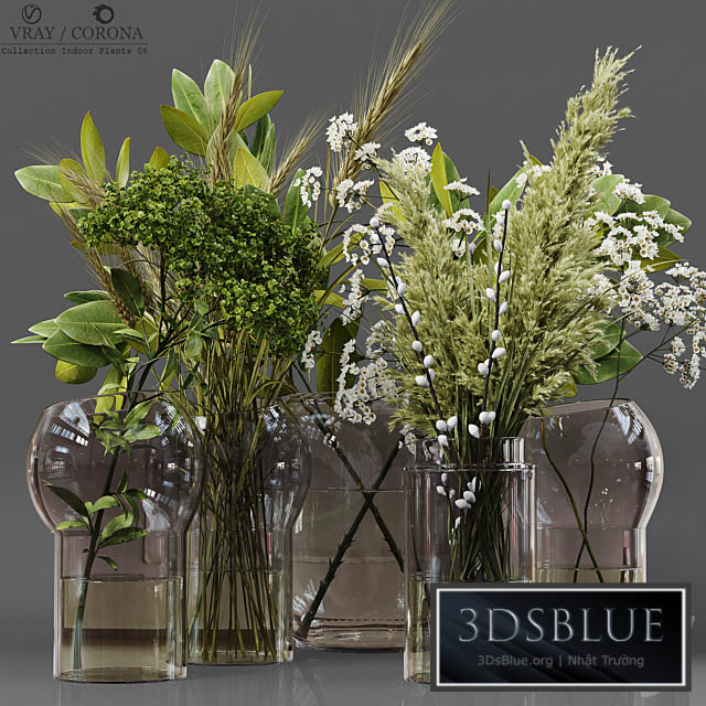 Collection Indoor Plants 06 3DS Max - thumbnail 3