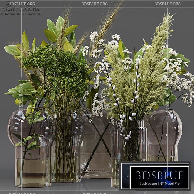 Collection Indoor Plants 06 3DS Max - thumbnail 3