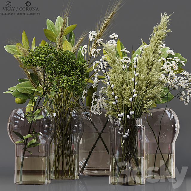 Collection Indoor Plants 06 3DSMax File - thumbnail 1