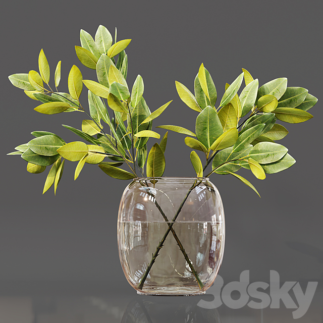 Collection Indoor Plants 06 3DSMax File - thumbnail 2