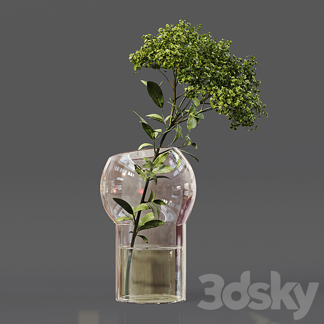 Collection Indoor Plants 06 3DSMax File - thumbnail 5