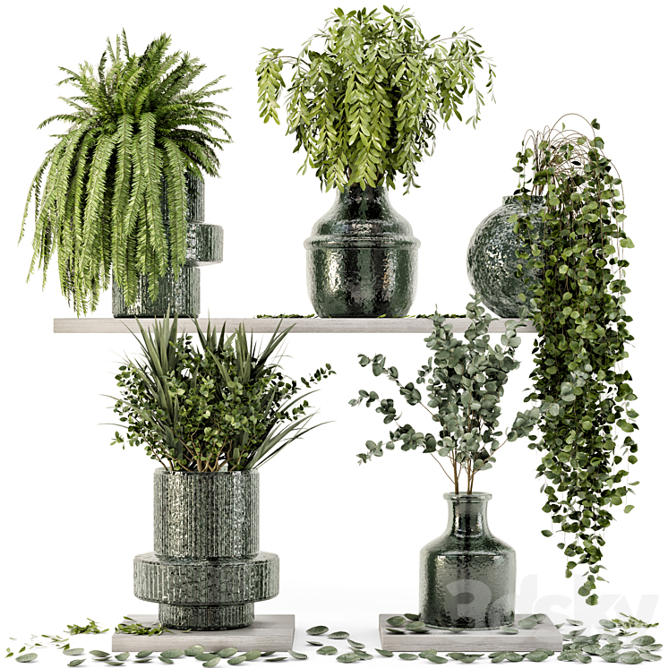 Collection Indoor Plants in Glass Pots – Set 695 3DS Max Model - thumbnail 3