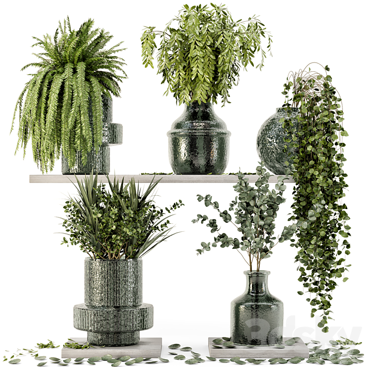 Collection Indoor Plants in Glass Pots – Set 695 3DS Max - thumbnail 1