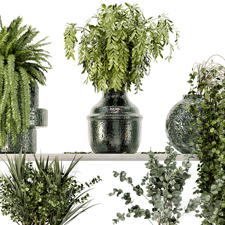 Collection Indoor Plants in Glass Pots – Set 695 3DS Max - thumbnail 2