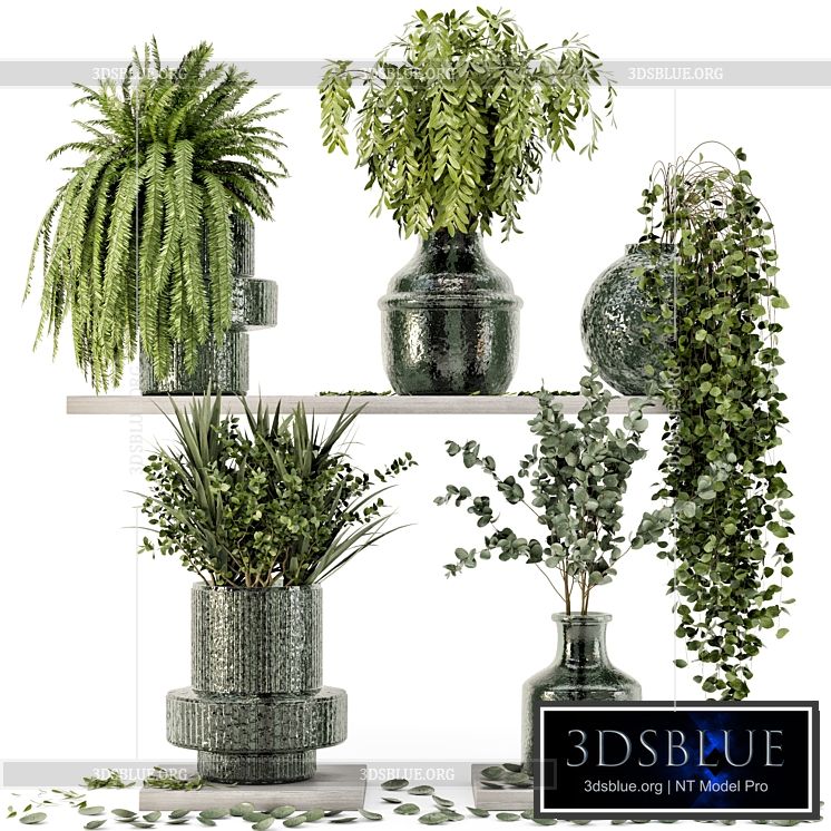 Collection Indoor Plants in Glass Pots – Set 695 3DS Max - thumbnail 3