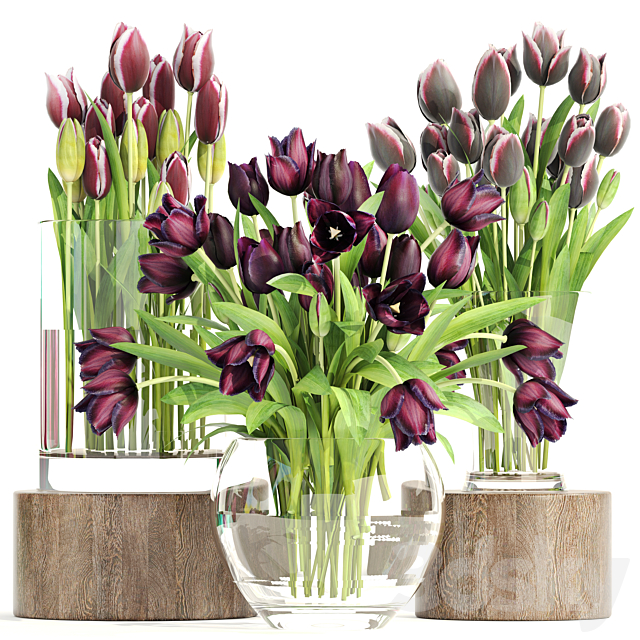 Collection of flowers 1. Tulips flower vase spring flowers decor 3ds Max - thumbnail 1