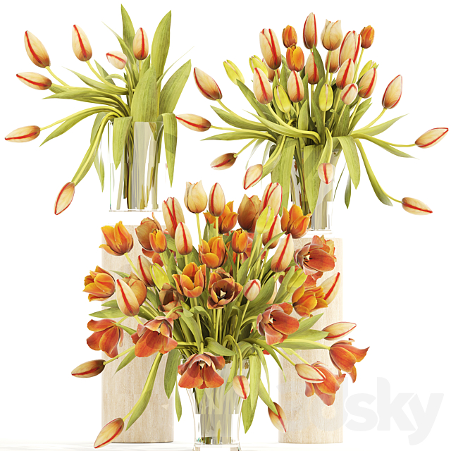 Collection of flowers 4. Tulips vase bouquet flower set decor spring flowers orange 3ds Max - thumbnail 1