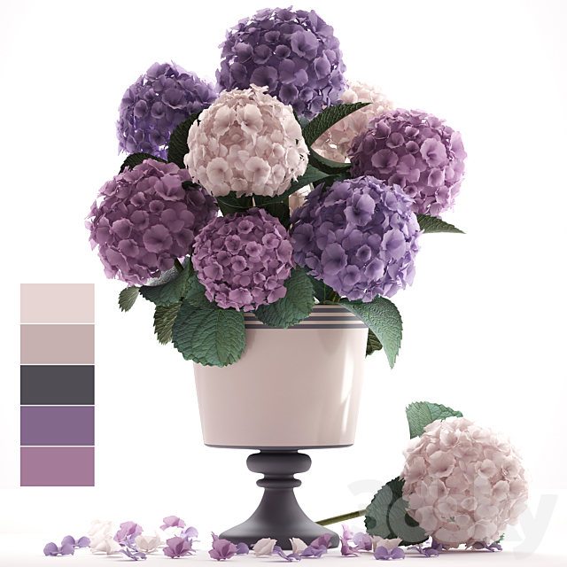 Collection of flowers 55. Hydrangea blue flowers flower vase branch 3DS Max Model - thumbnail 1