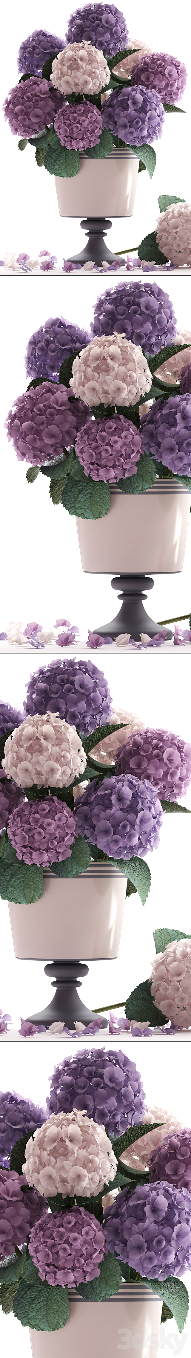 Collection of flowers 55. Hydrangea blue flowers flower vase branch 3DS Max Model - thumbnail 2