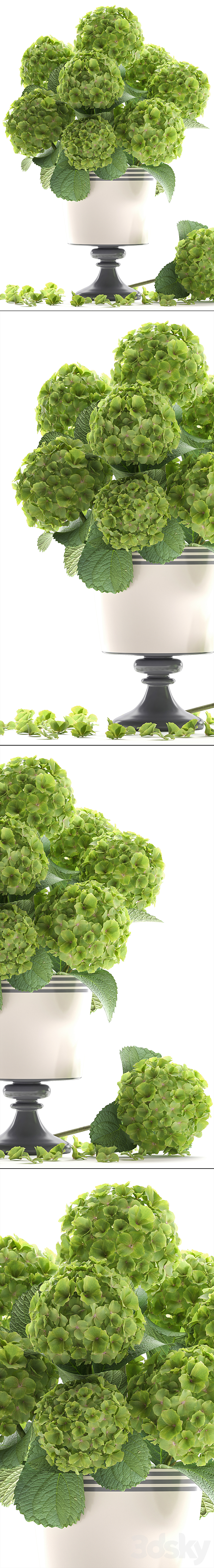 Collection of flowers 60. Hydrangea. bouquet. green flowers. vase. decor 3DSMax File - thumbnail 2