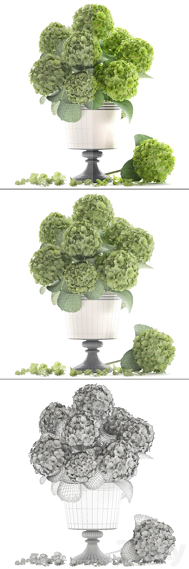 Collection of flowers 60. Hydrangea. bouquet. green flowers. vase. decor 3DSMax File - thumbnail 3