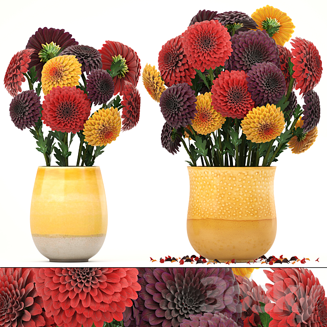 Collection of flowers 8. Dahlias vase decor spring flowers 3ds Max - thumbnail 1