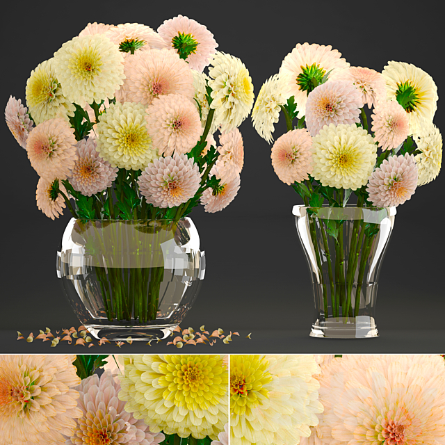 Collection of flowers 9. Dahlias spring flowers vase decor white 3ds Max - thumbnail 1