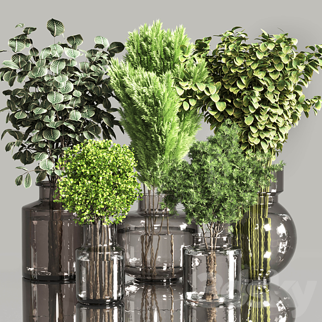 Collection Plants Bouquet Indoor 01 3ds Max - thumbnail 1