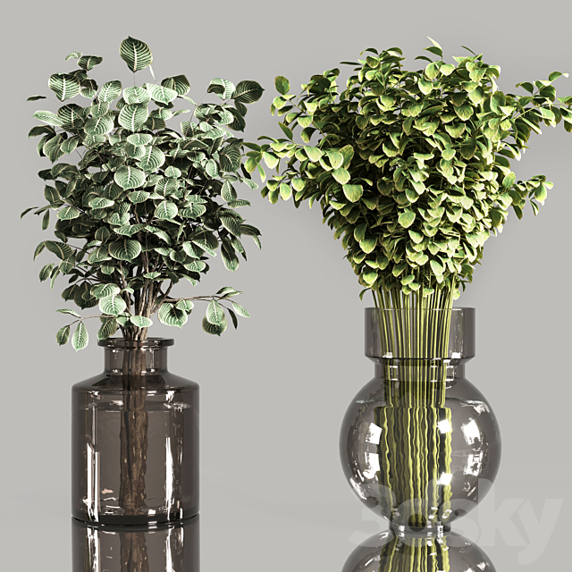 Collection Plants Bouquet Indoor 01 3ds Max - thumbnail 2