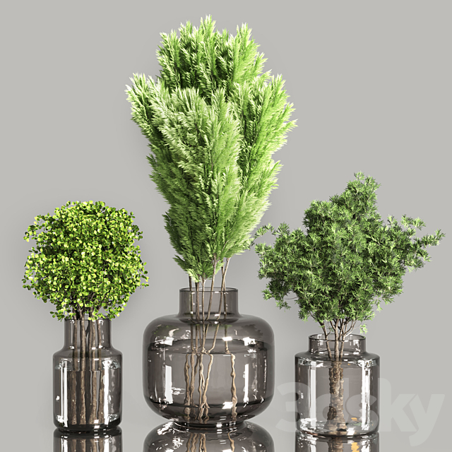 Collection Plants Bouquet Indoor 01 3ds Max - thumbnail 3