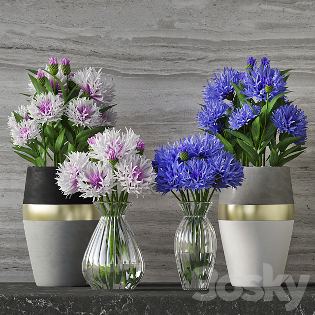 Cornflower Set 3DSMax File - thumbnail 1