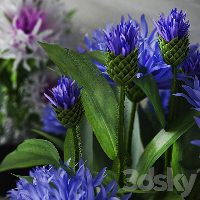 Cornflower Set 3DSMax File - thumbnail 3