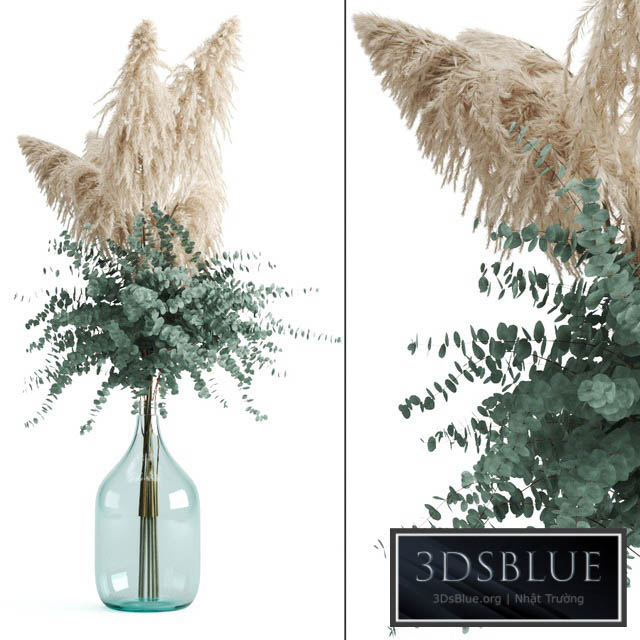 Cortaderia and eucalyptus in a large bottle 3DS Max - thumbnail 3