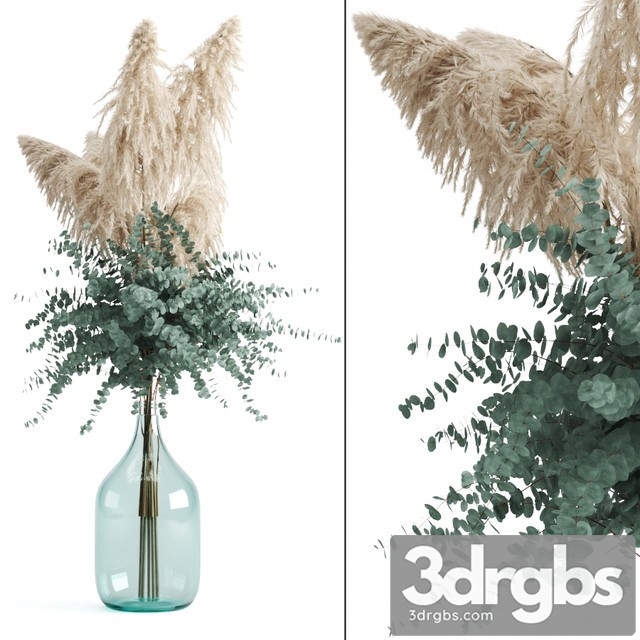 Cortaderia and Eucalyptus in a Large Bottle 3dsmax Download - thumbnail 1