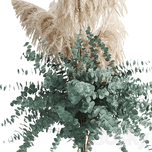 Cortaderia and eucalyptus in a large bottle 3DSMax File - thumbnail 2