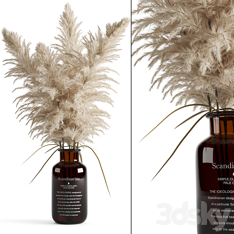 Cortaderia (pampas grass) in a vase 3DS Max - thumbnail 1