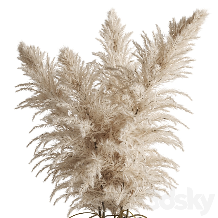 Cortaderia (pampas grass) in a vase 3DS Max - thumbnail 2