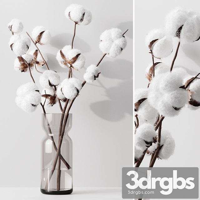 Cotton 3dsmax Download - thumbnail 1