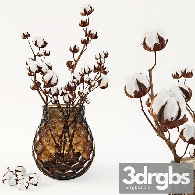 Cotton in a Vase 3dsmax Download - thumbnail 1