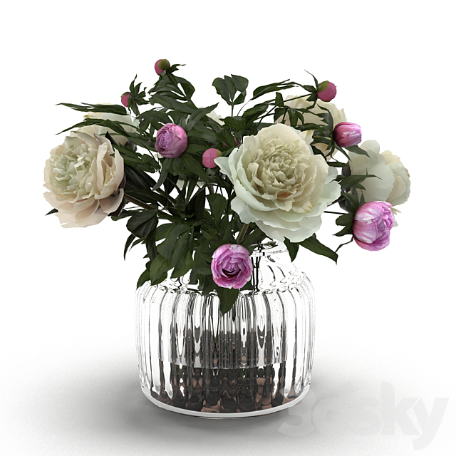 Cream Peonies in ribbed glass vase 3DSMax File - thumbnail 1