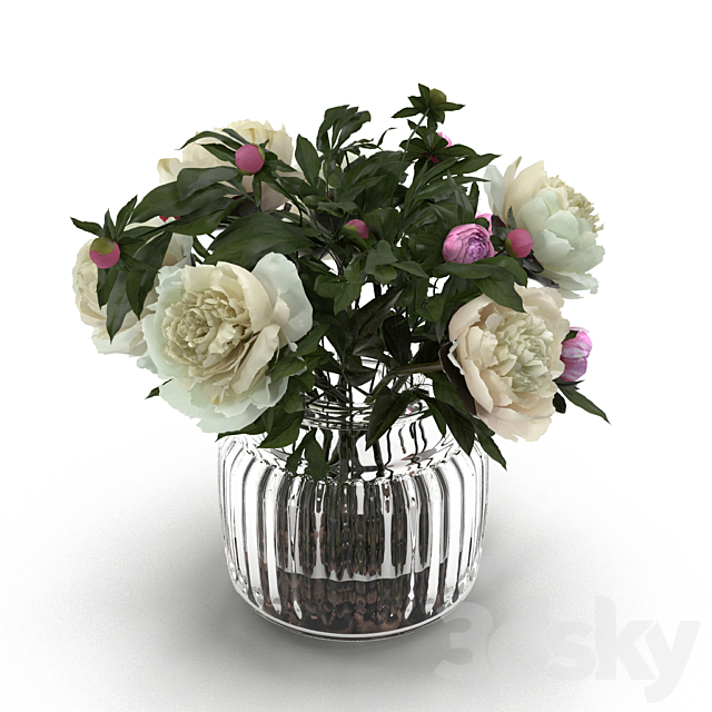 Cream Peonies in ribbed glass vase 3DSMax File - thumbnail 2